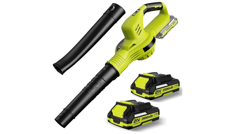 EagerMinds WA1063 Cordless Leaf Blower Review & Test